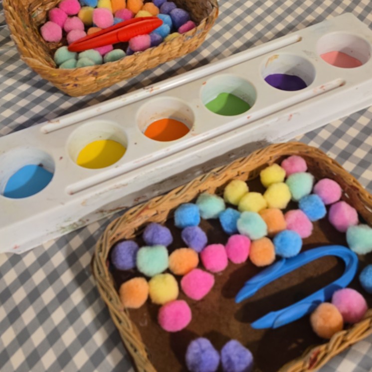 Busy Bees Terrace End Palmerston North Preschool Education