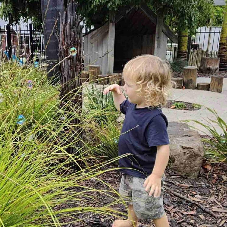 Gardening at Busy Bees Whau Valley for preschool boy