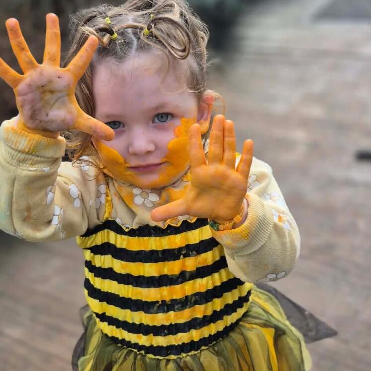 Busy Bees fun at daycare in whangarei at Whau Valley 