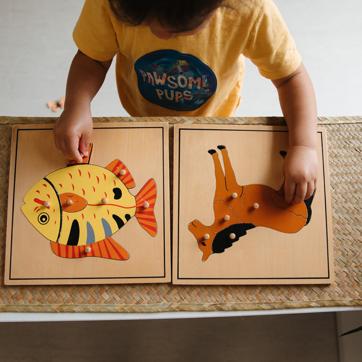 Learn and Play at Featherston Street Montessori by Busy Bees