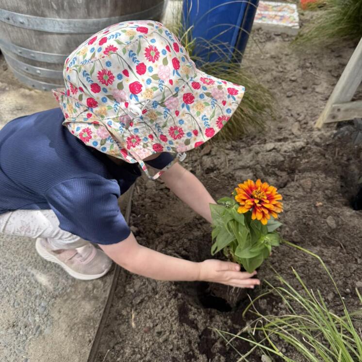 Sustainability and garden to table experiences at Harewood Road Montessori by Busy Bees