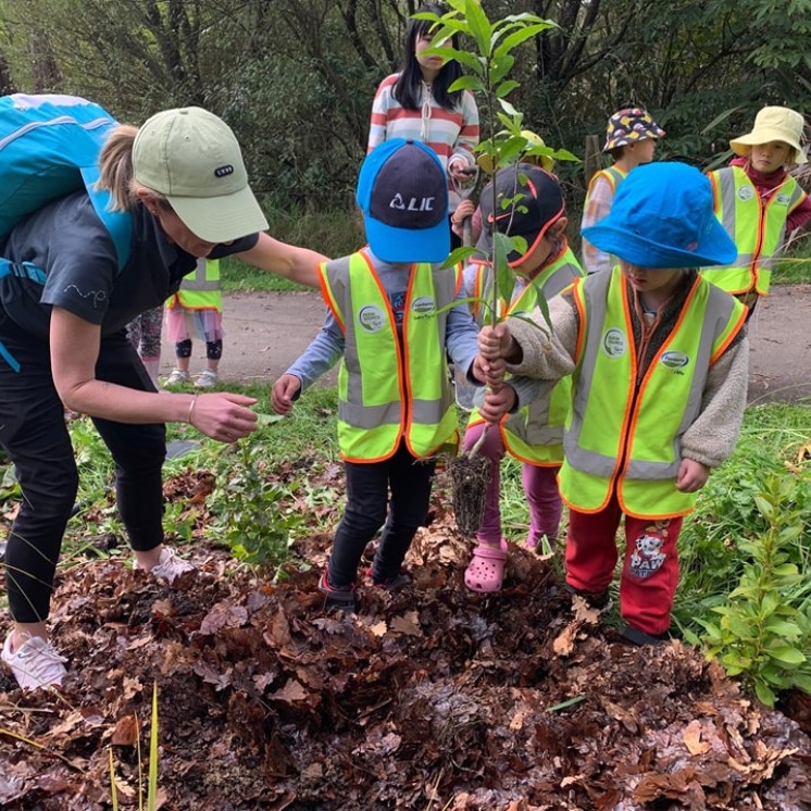 HOW Chartwell planting plants in nature