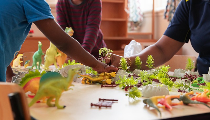 House of Wonder Forest Lake Early Education Centre Te Rapa Hamilton