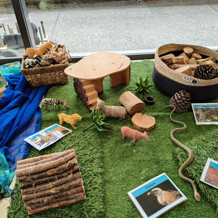 Child engagement with animals at House of Wonder Forest Lake Early childhood care centre