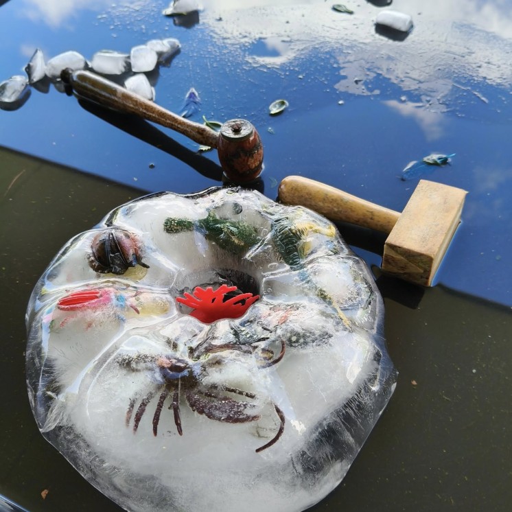 House of Wonder Forest Lake Ice breaking Sensory play