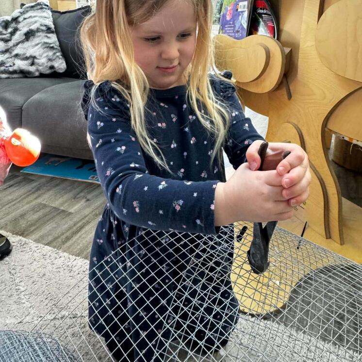 Little Coasties by Busy Bees Manly Whangaparaoa girl arts and crafts