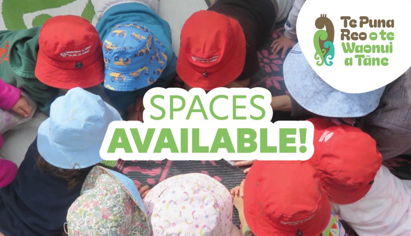 J26116 Te Puna Digital Assets2