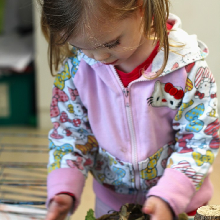 Te Puna Reo Te Waonui a Taane nature play
