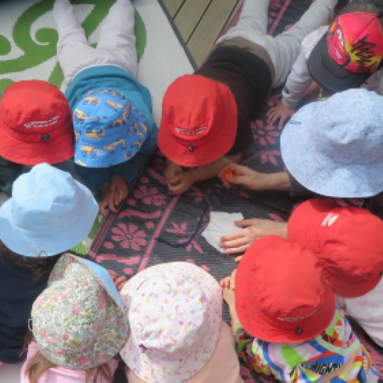 Te Puna Reo Te Waonui a Taane exploring shapes 