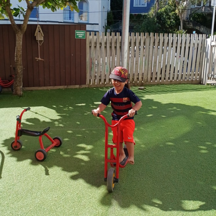 Te Puna Reo Te Waonui a Taane childcare in Brooklyn Wellington