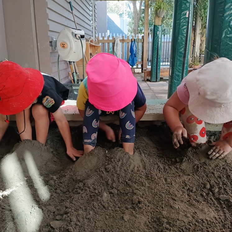 Te Puna Reo Te Waonui a Taane childcare in Brooklyn Wellington