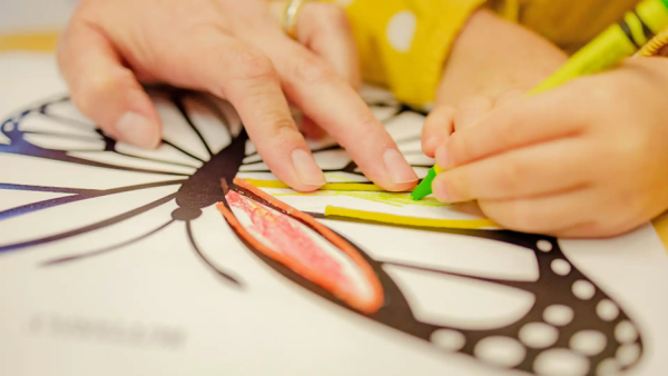 Early childhood development - Child colouring in a butterfly